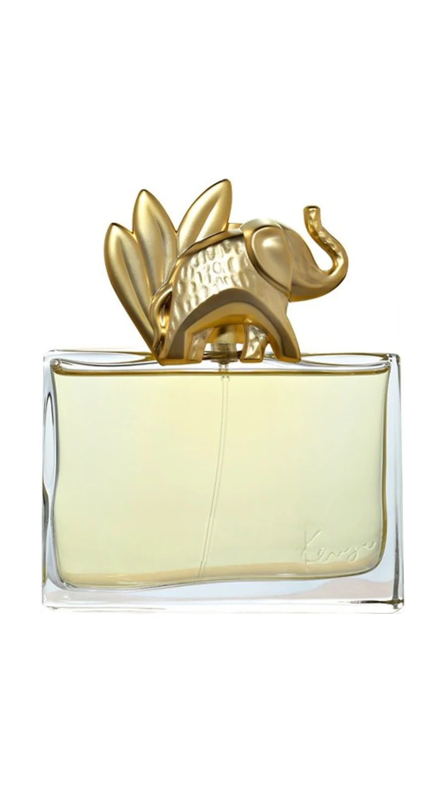 KENZO JUNGLE - Eau de Parfum 100 ml