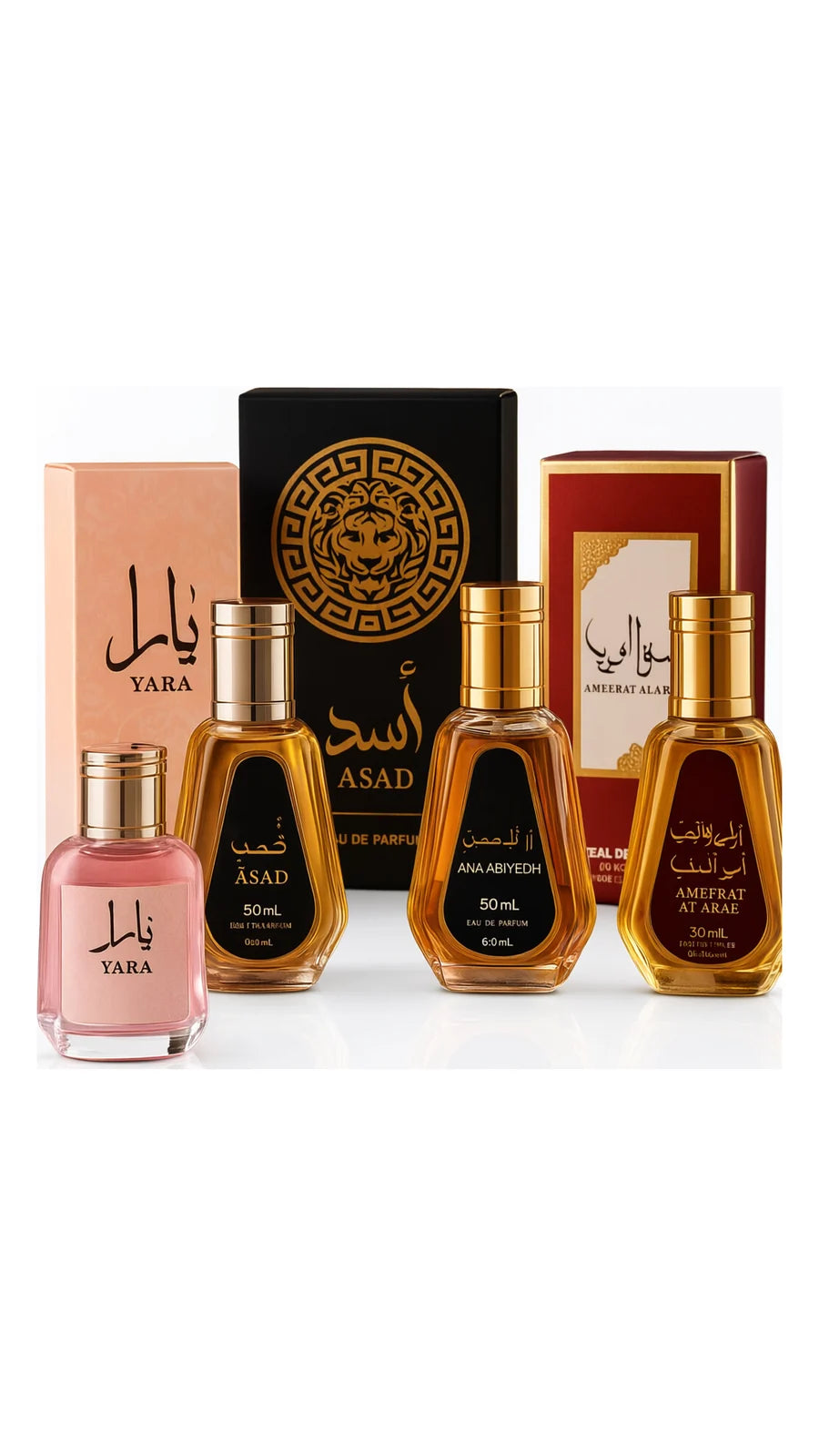 Lot Grossiste - Eau de Parfum 50 ml (la boite)
