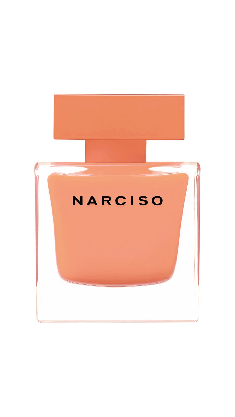 Narciso Ambree