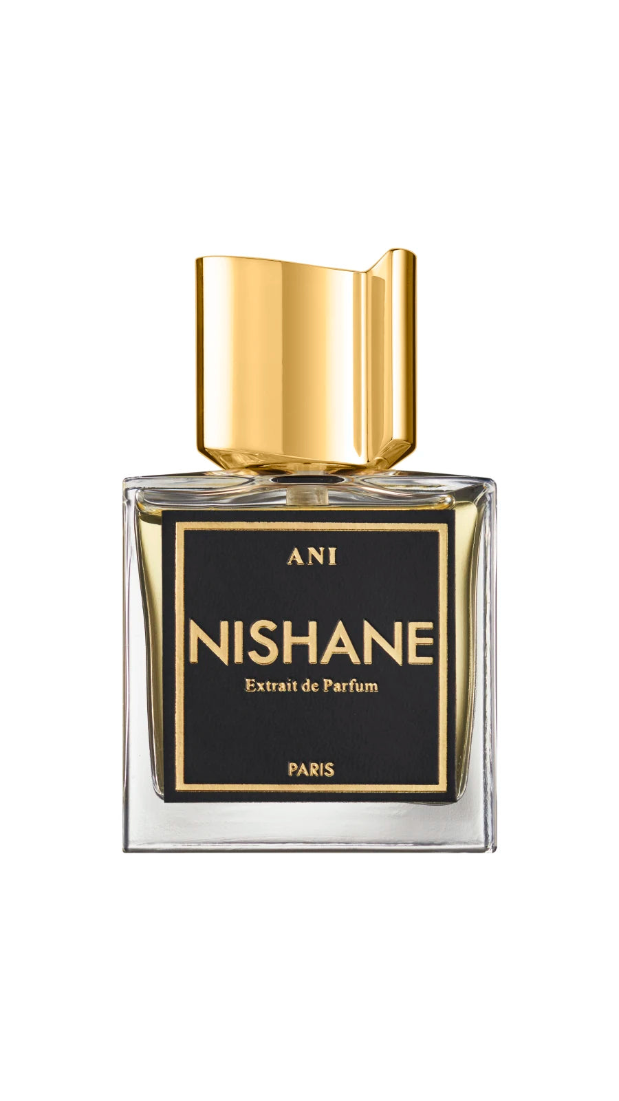 NISHANE ANI EXTRAIT DE PARFUM 100 ML