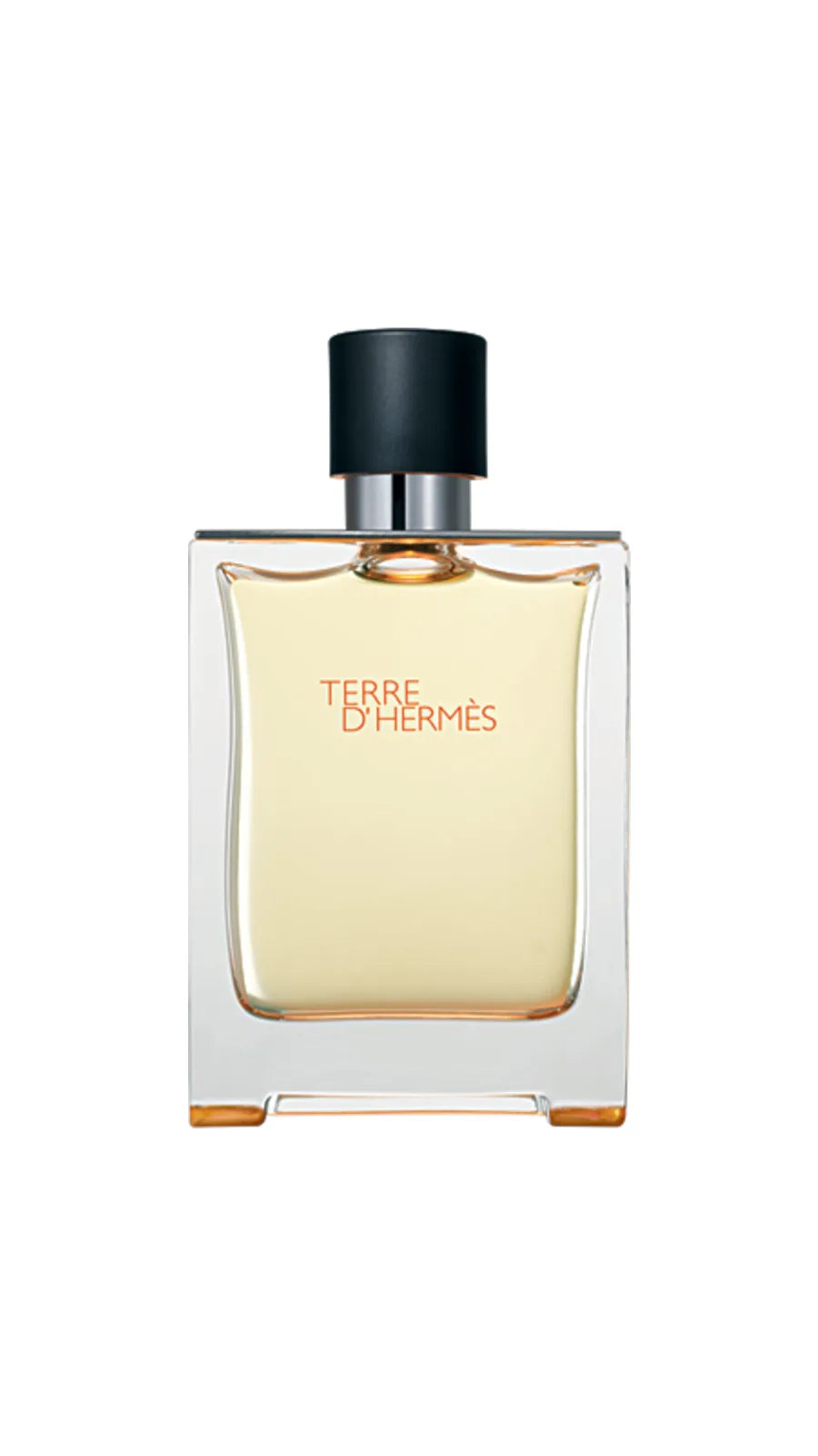 TERRE D'HERMES EDT 100 Ml